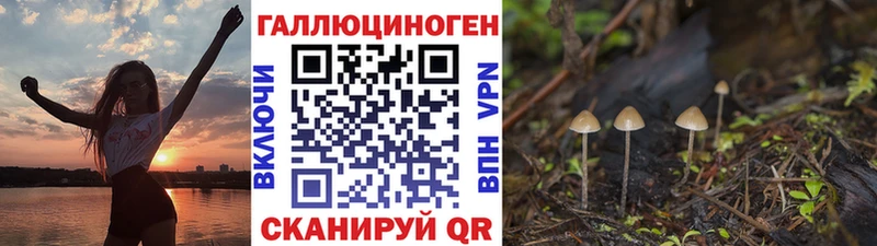 маркетплейс клад  как найти закладки  Мытищи  Галлюциногенные грибы мицелий  blacksprut зеркало 