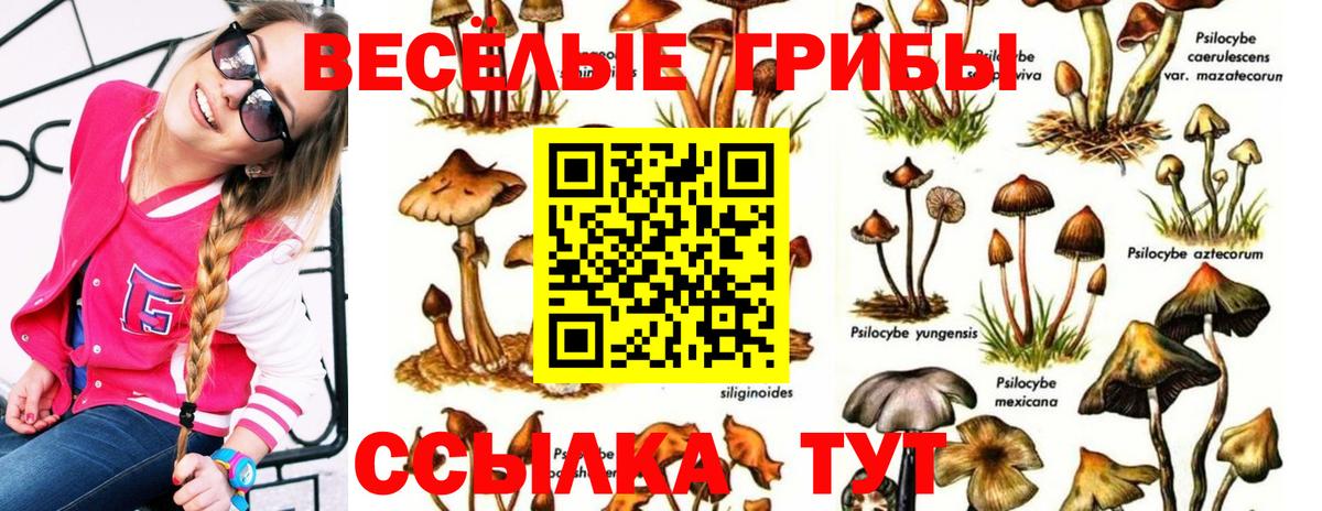 Галлюциногенные грибы GOLDEN TEACHER Мытищи